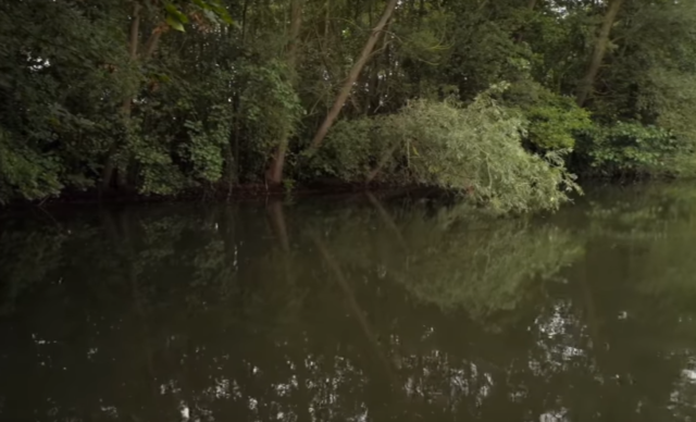 image-49 Łowienie karpia w zaczepach. TOP 7 porad