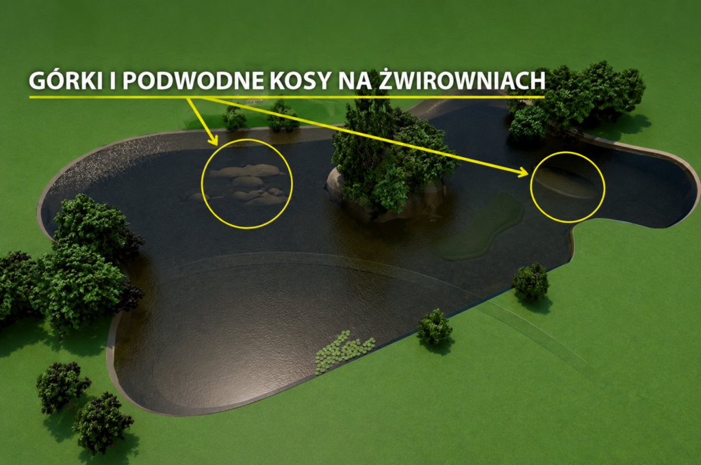 image-3-1024x680 Gdzie szukać karpia wiosną?