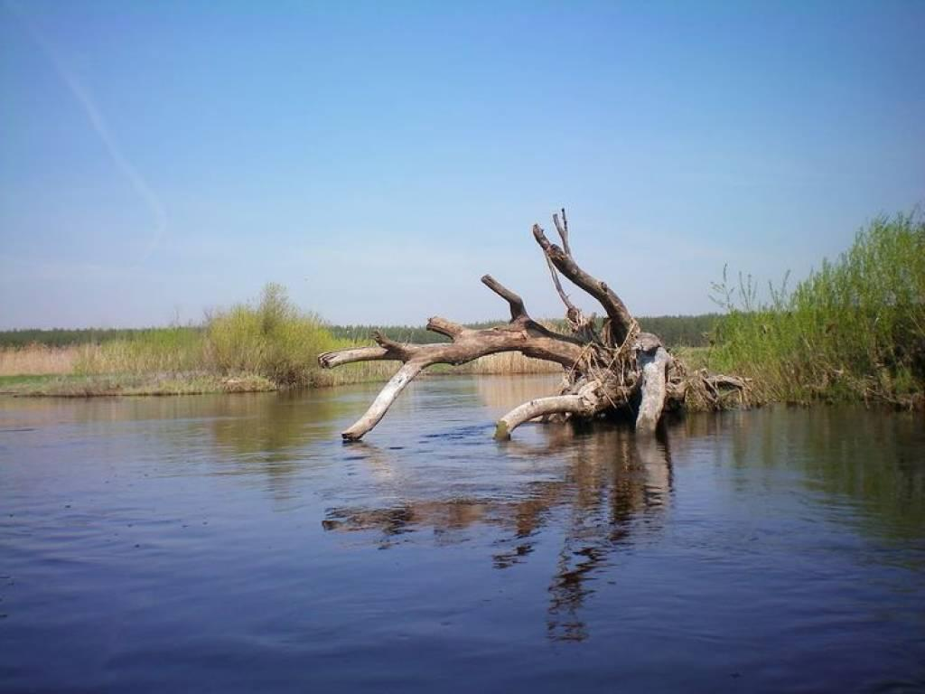 image-6 Jak wybrać miejsce na karpia? Na co zwracać uwagę nad wodą